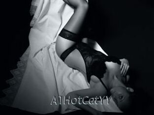 A1HotCatYY