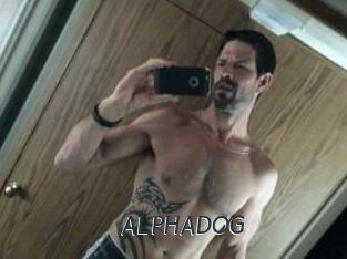 ALPHADOG