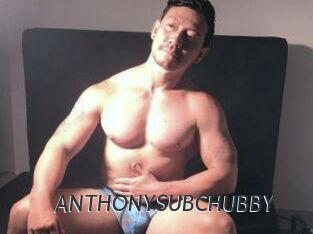 ANTHONYSUBCHUBBY