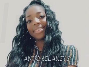 ANTONELAKEYS