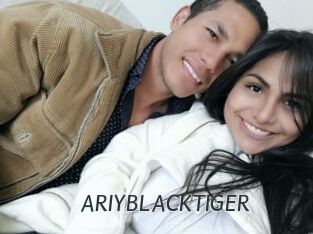 ARIYBLACKTIGER
