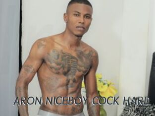 ARON_NICEBOY_COCK_HARD