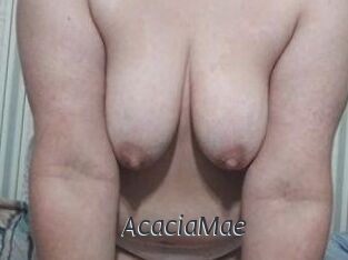 AcaciaMae