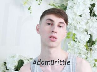 AdamBrittle