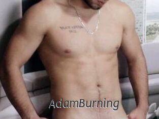 AdamBurning