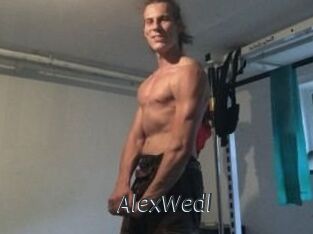 Alex_Wedl