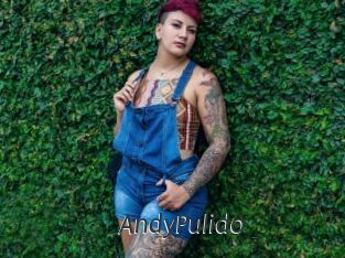 AndyPulido