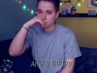 Angry_Bunny