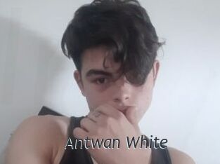 Antwan_White Ligne Rose