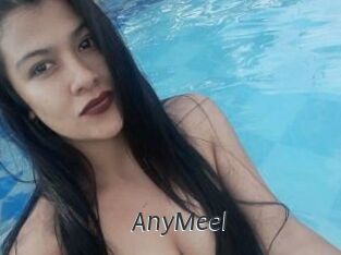 AnyMeel