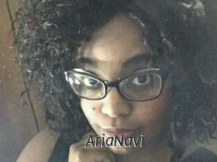 AriaNavi
