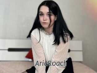 AriaRoach