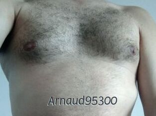 Arnaud95300