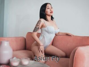 Asian_Fly