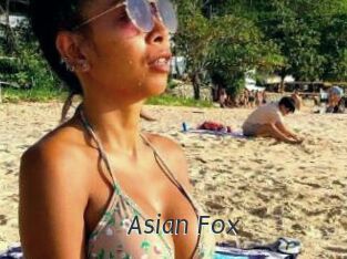 Asian_Fox