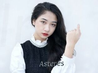 Asteres Ligne Rose
