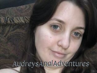 AudreysAnalAdventures