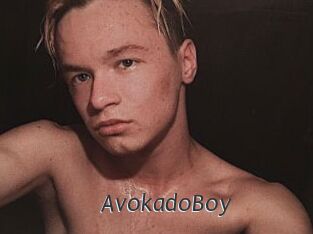AvokadoBoy