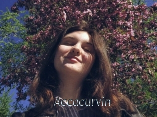 Accacurvin