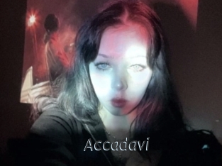 Accadavi