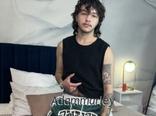 adammarley Ligne Rose