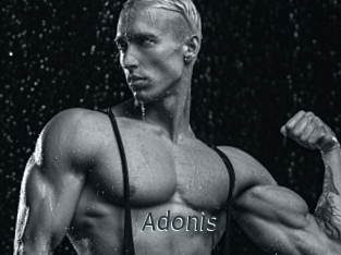 Adonis_