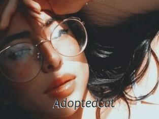 Adoptedcat
