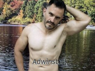 Adwinstark