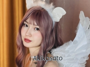 akikosato Ligne Rose