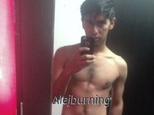 Alejburning