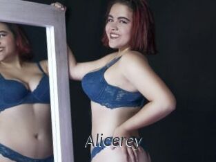 Alicerey