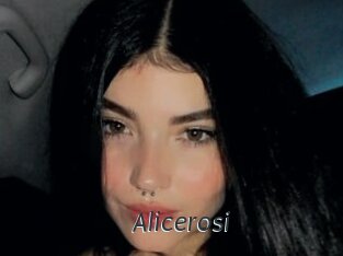 Alicerosi
