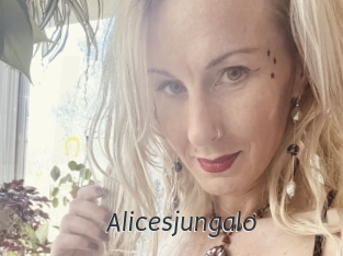 alicesjungalo Ligne Rose