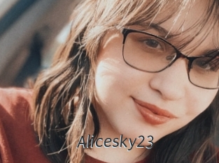 Alicesky23
