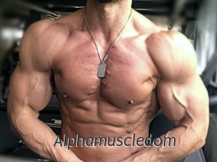 alphamuscledom Ligne Rose
