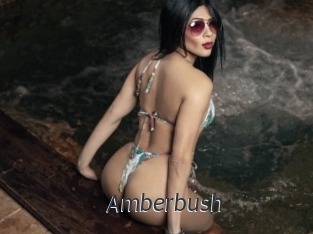 Amberbush