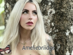 Ameliebriidge