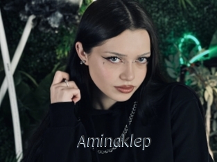 Aminaklep