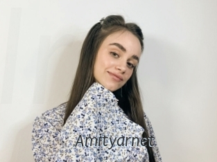 Amityarnet