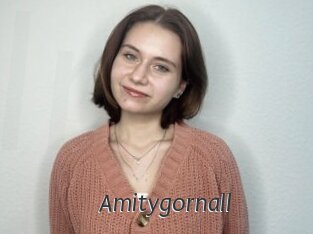 Amitygornall