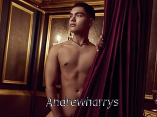 andrewharrys Ligne Rose