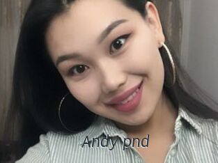 Andy_pnd