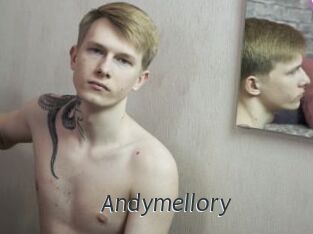 Andymellory