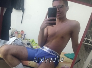 Andypolla