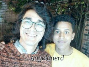 Angeldnerd