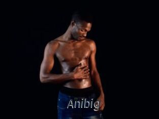 Anibig