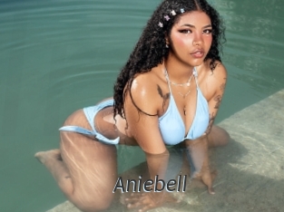 Aniebell