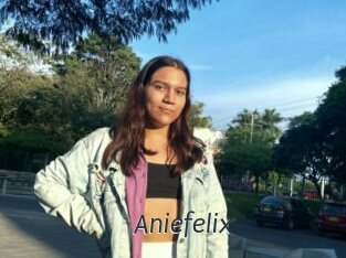 Aniefelix