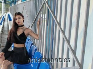 Anisamontres