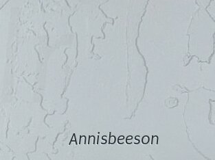 Annisbeeson